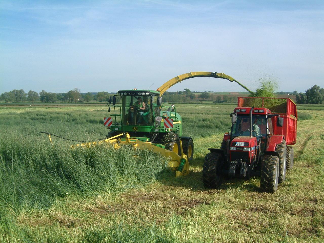 Sieczka z traw jako substrat do biogazowni biometanowni biogazownia Biogaz Energy Poland